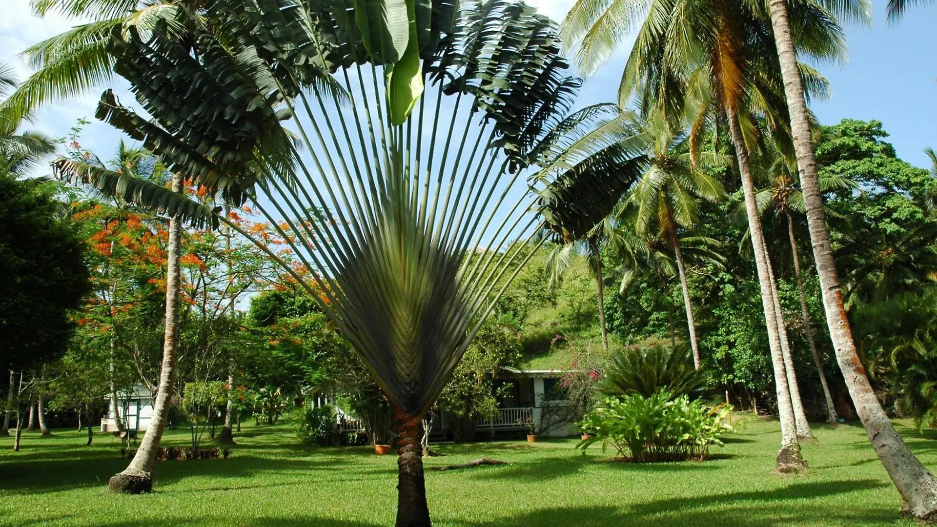 Holiday home Casa Nito Villa Las Terrenas